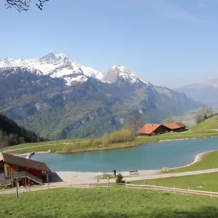 Baerengaden 4-bettwohnung By Interhome