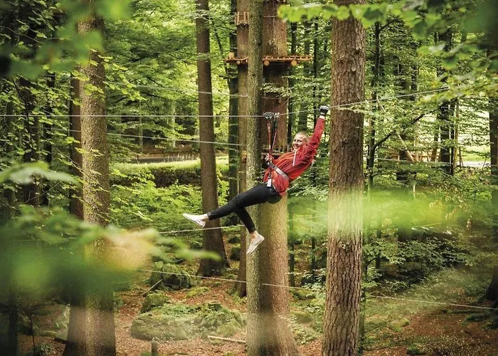 Baerengaden 4-bettwohnung By Interhome * Hasliberg