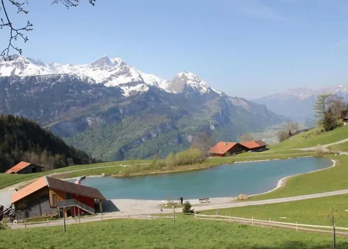 Baerengaden 4-bettwohnung By Interhome