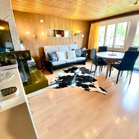 Baerengaden 4-bettwohnung By Interhome Apartmán Hasliberg